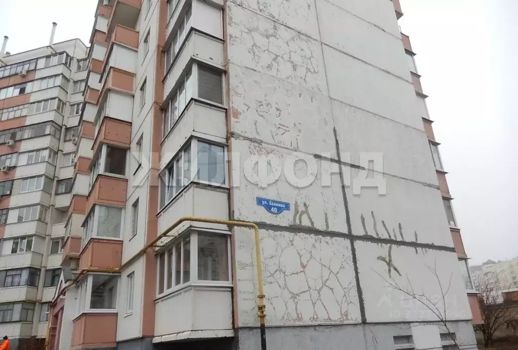 1-к кв. Белгородская область, Белгород ул. Есенина, 40 (33.7 м) - Фото 1
