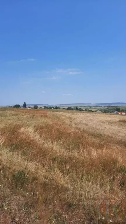 Участок в Крым, Симферопольский район, с. Чистенькое  (129.0 сот.) - Фото 1