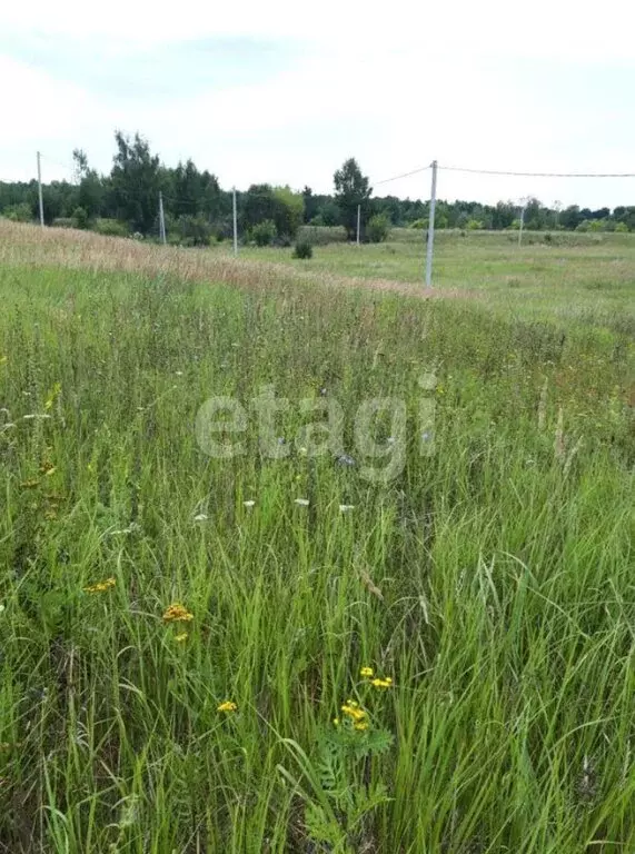 Участок в Кимовск, Радужная улица (15 м) - Фото 2