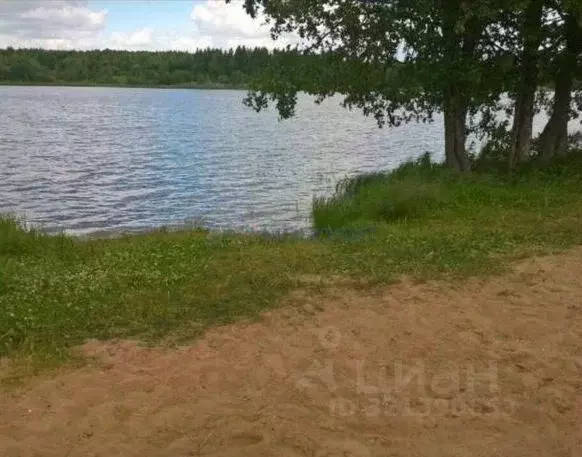 Участок в Владимирская область, Гороховецкий муниципальный округ, д. ... - Фото 2