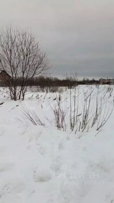 Участок в Ярославская область, Ярославский муниципальный округ, пос. ... - Фото 2