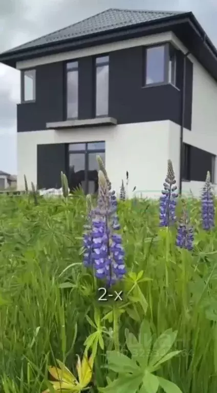 Коттедж в Калининградская область, Зеленоградский муниципальный округ, ... - Фото 2