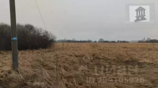 Участок в Калининградская область, Багратионовский муниципальный ... - Фото 0