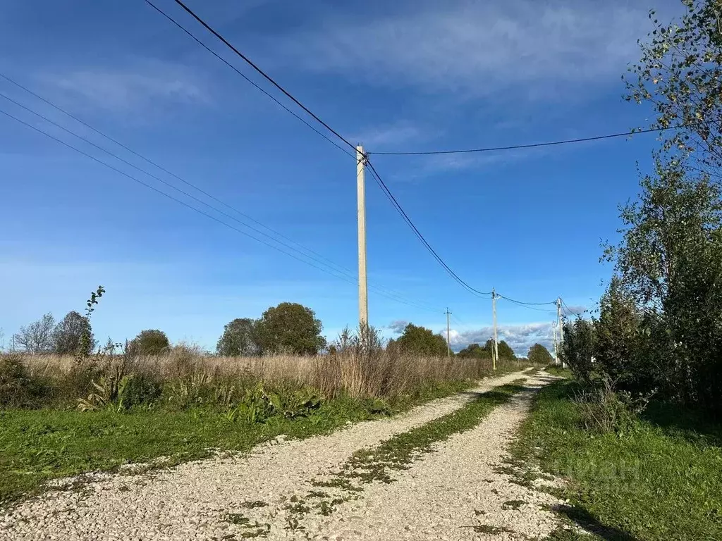 Участок в Ленинградская область, Кингисеппский район, Котельское ... - Фото 2