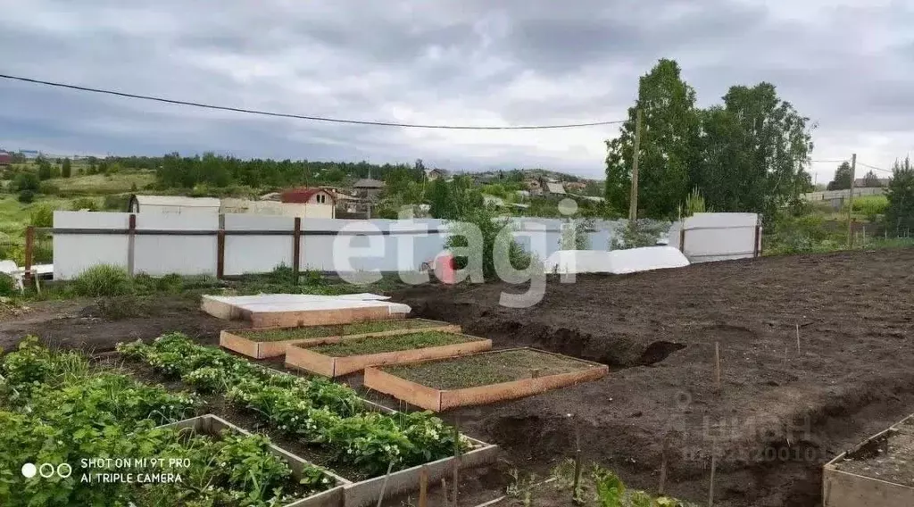 Участок в Красноярский край, Красноярск Лаванда садоводческое ... - Фото 1