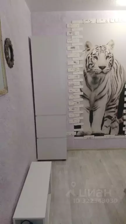 Студия Волгоградская область, Волгоград Высокая ул., 18А (30.0 м) - Фото 1