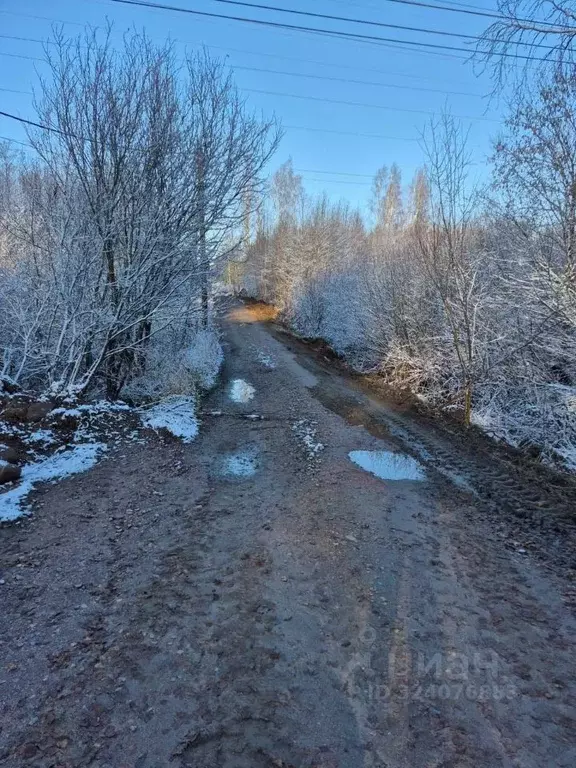 Участок в Ленинградская область, Выборгский район, Первомайское с/пос, ... - Фото 0