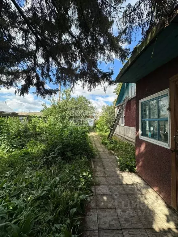 Дом в Омская область, Омский район, с. Дружино 1 Мая ул., 6 (56 м) - Фото 2