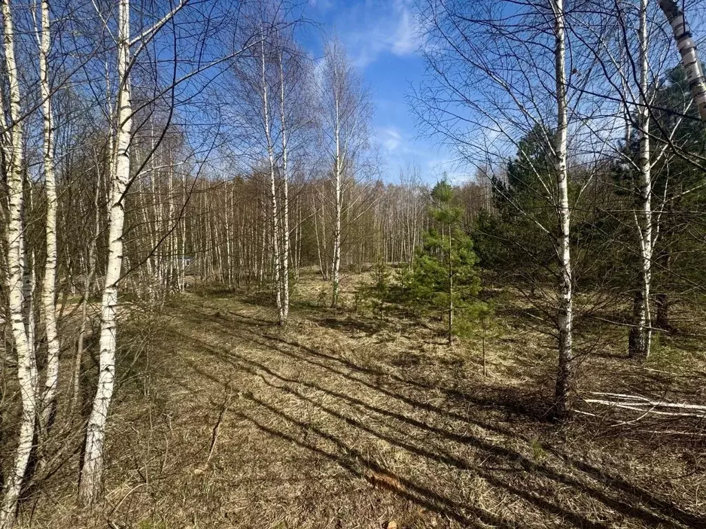 Участок в Владимирская область, Ковровский район, Доброград ... - Фото 0
