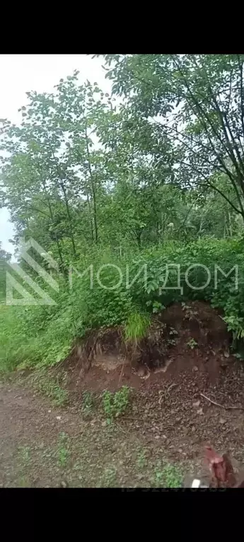 Участок в Сахалинская область, Южно-Сахалинск А-391, 7-й км (8.0 сот.) - Фото 2