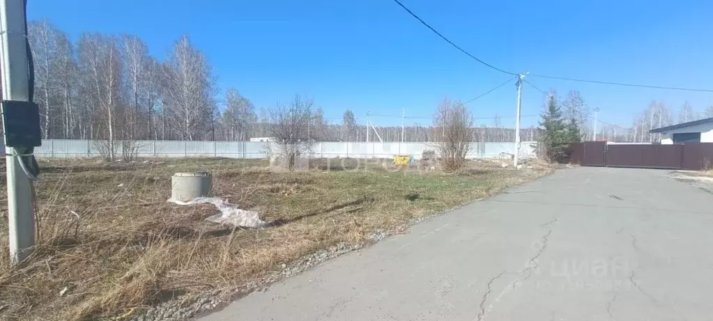 Участок в Новосибирская область, Новосибирский район, Станционный ... - Фото 0
