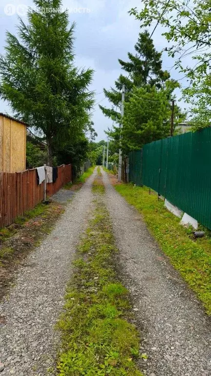 Дом в Хабаровский район, СНТ Дубки, 36 (40 м) - Фото 0