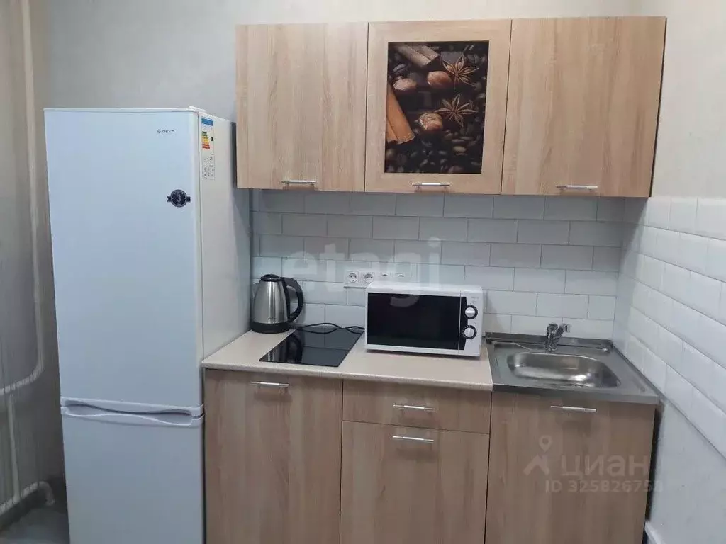 1-к кв. Новосибирская область, Новосибирск ул. Михаила Кулагина, 29/1 ... - Фото 2