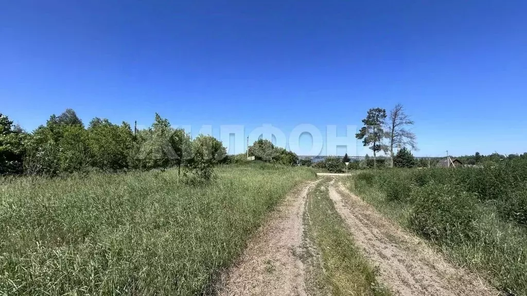 Участок в Новосибирская область, Ордынский район, д. Абрашино ... - Фото 1