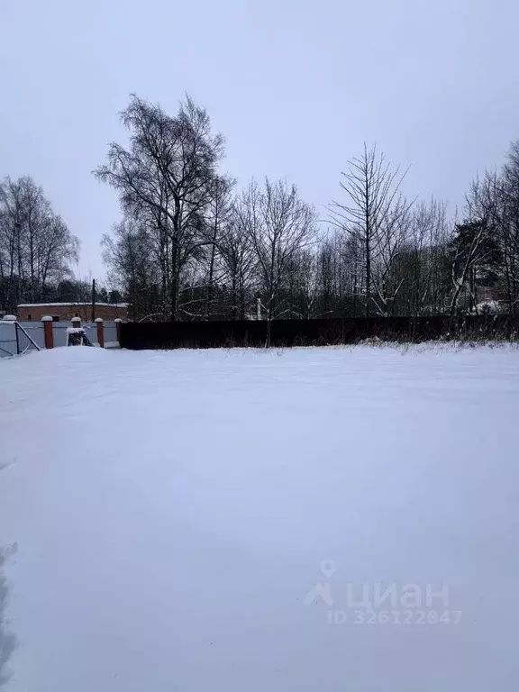 Участок в Московская область, Пушкино ул. 3-я Серебрянская, 10 (14.3 ... - Фото 2