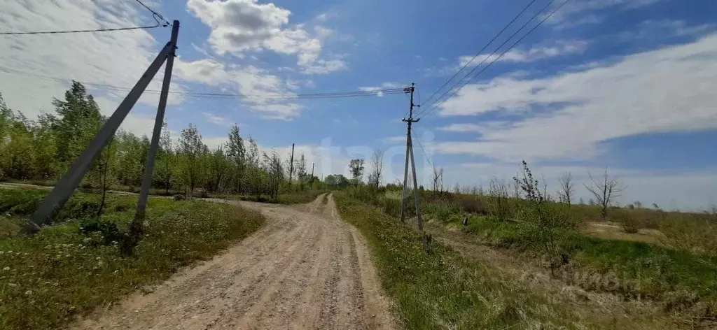 Участок в Тюменская область, Тюменский муниципальный округ, ... - Фото 0