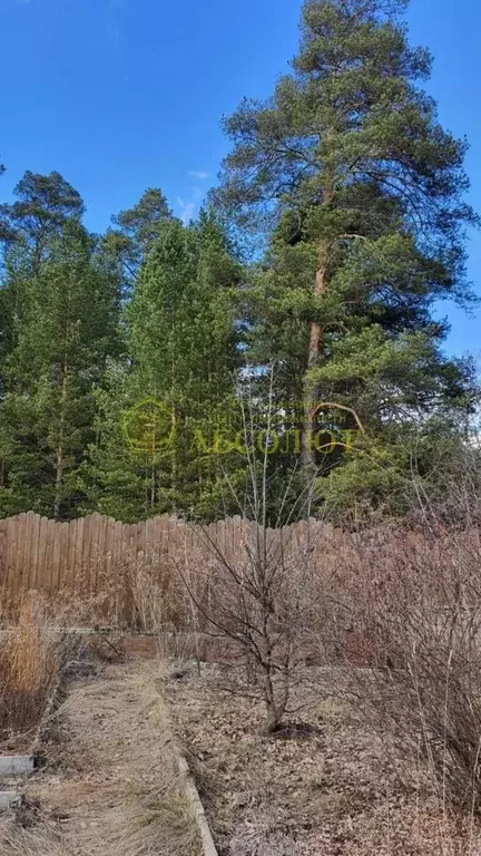 Дом в Свердловская область, Дегтярск  (25 м) - Фото 1
