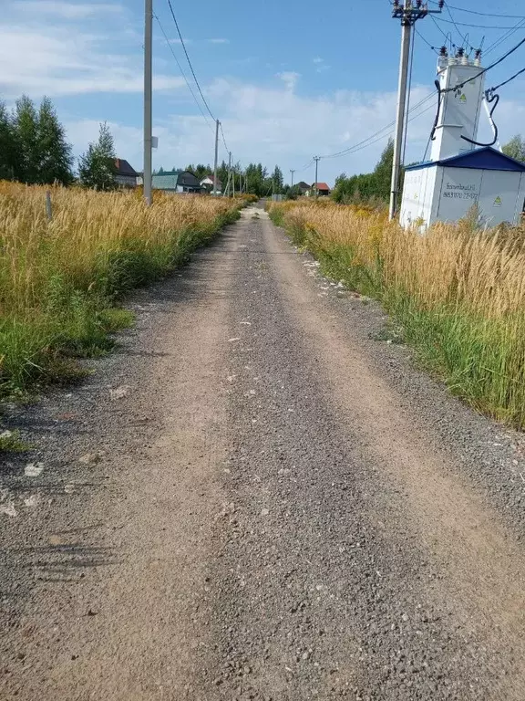 Участок в Нижегородская область, Богородский муниципальный округ, ... - Фото 1