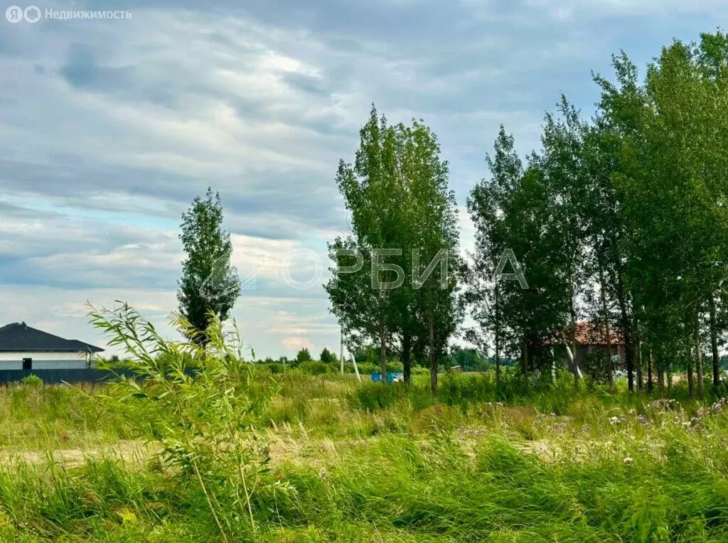 Участок в Тюменский район, деревня Ушакова (6.2 м) - Фото 0
