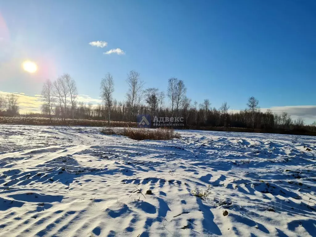 Участок в Тюменская область, Нижнетавдинский район, Строитель ТСН 168 ... - Фото 1