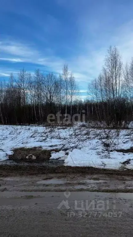 Участок в Калужская область, Боровский муниципальный округ, д. ... - Фото 2