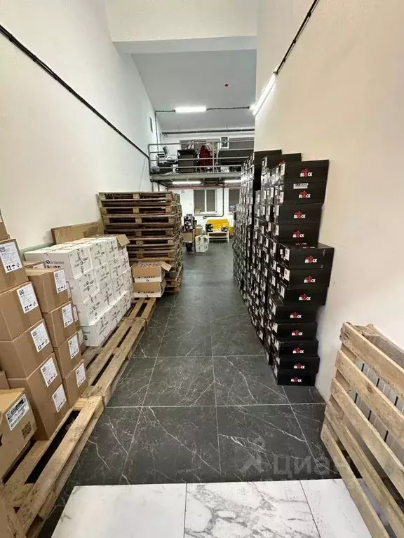 Помещение свободного назначения в Москва аллея Первой Маевки, 15с5 (80 ... - Фото 2