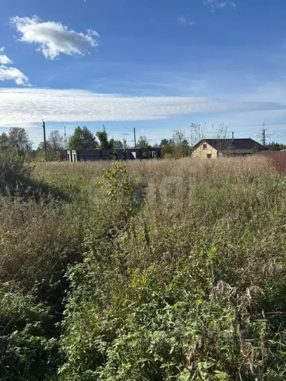 Участок в Ленинградская область, Выборгский район, Первомайское с/пос, ... - Фото 1