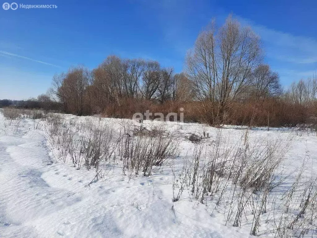 Участок в село Новая Усмань, Коммунарская улица (12 м) - Фото 0