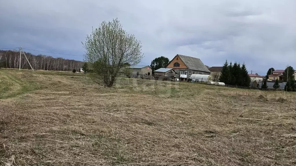 Участок в Кемеровская область, Кемеровский район, с. Ягуново Садовая ... - Фото 0