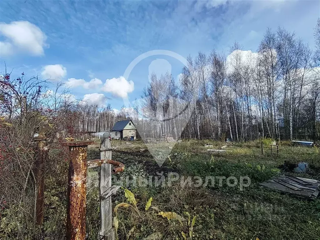 Участок в Рязанская область, Рязанский муниципальный округ, Башмачок ... - Фото 1