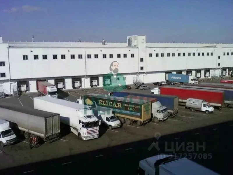 Склад в Московская область, Пушкино ул. Пушкинское поле, вл10с3 (1000 ... - Фото 0