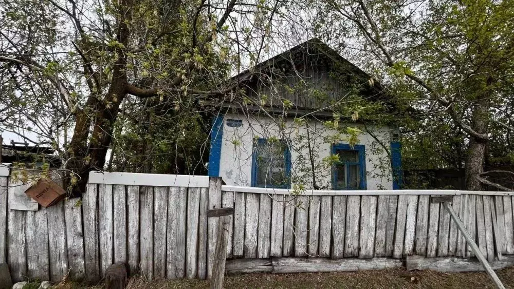 Дом в Амурская область, с. Тамбовка ул. Тамбовская, 101 (27 м) - Фото 2