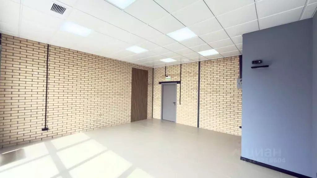 Офис в Новосибирская область, Новосибирск ул. Никитина, 112Б (35 м) - Фото 1