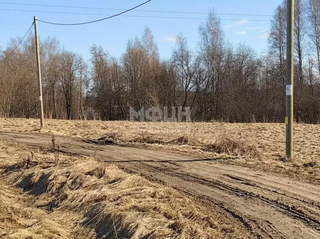 Участок в Карелия, Кондопожский муниципальный район, Кончезерское ... - Фото 2