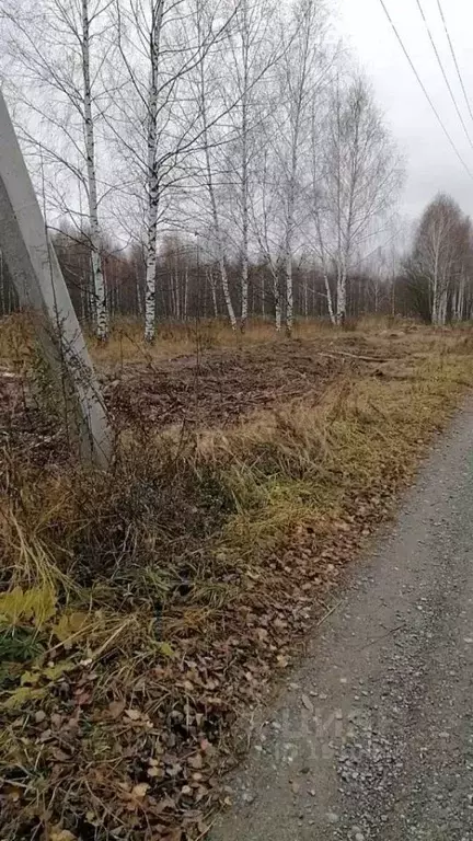 Купить Дом В Деревне Кожевенное Богородского