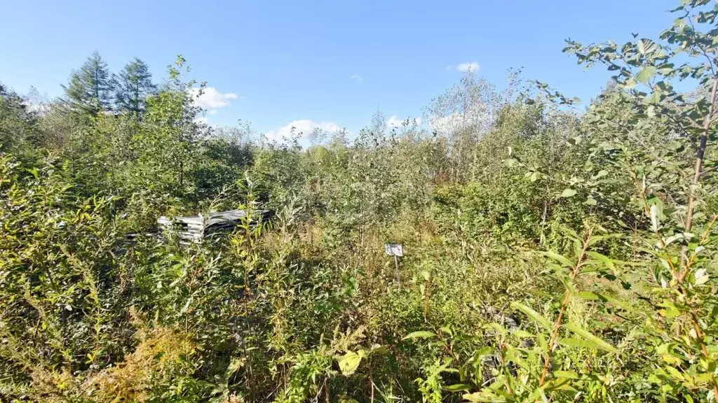 Участок в Сахалинская область, Южно-Сахалинск Эврика СНТ, 14 (10.0 ... - Фото 2