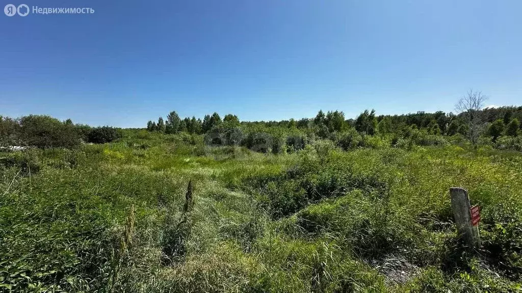 Участок в Новосибирский район, Ярковский сельсовет, СНТ Ивушка (12 м) - Фото 1