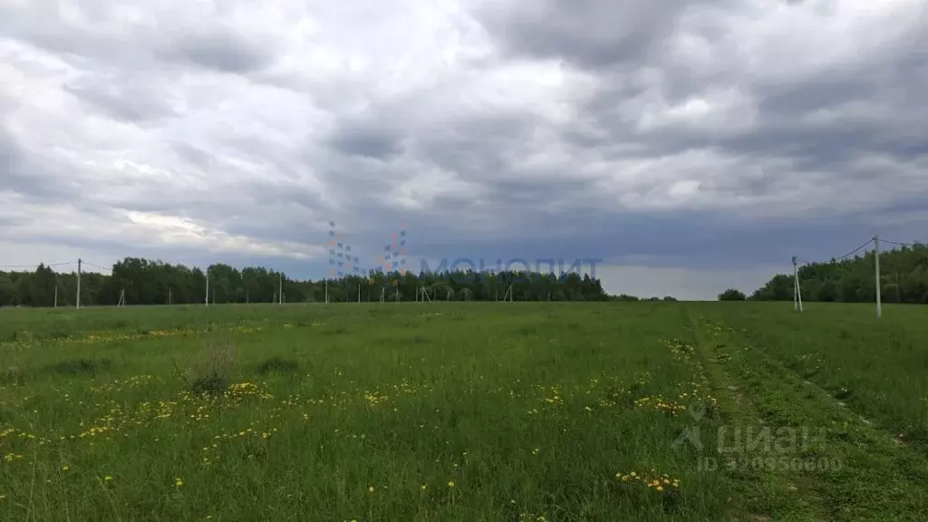 Участок в Нижегородская область, Дальнеконстантиновский муниципальный ... - Фото 1