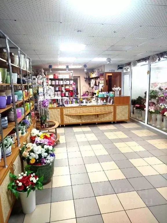 Помещение свободного назначения в Хакасия, Саяногорск Саяногорск ... - Фото 2