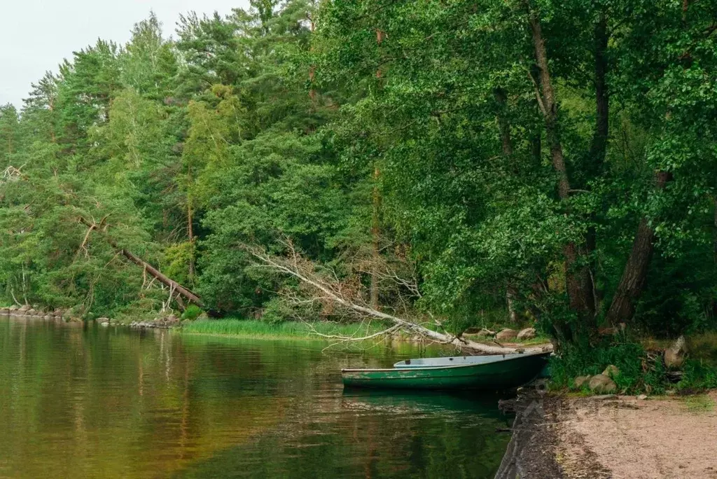 Участок в Ленинградская область, Выборгский район, Приморское ... - Фото 1