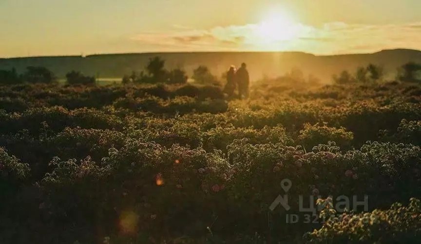 Участок в Крым, Бахчисарайский район, Скалистовское с/пос, с. ... - Фото 1