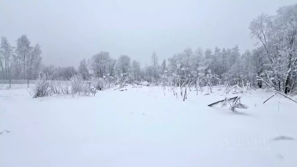 Участок в Ленинградская область, Киришский район, Будогощское ... - Фото 1