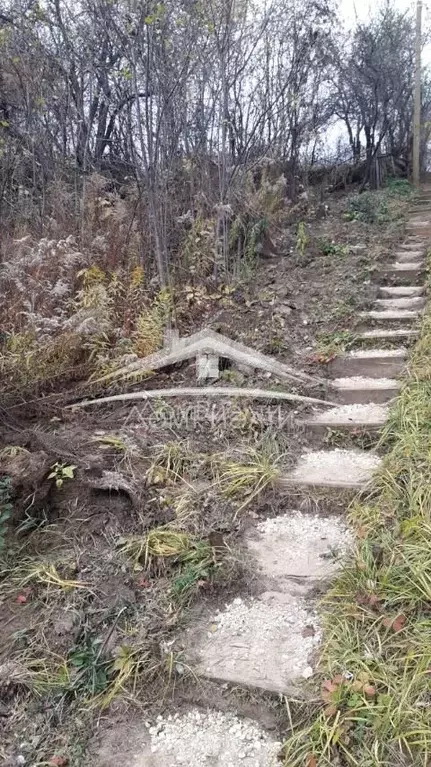 Дом в Нижегородская область, Нижний Новгород Деловая ул. (20 м) - Фото 1