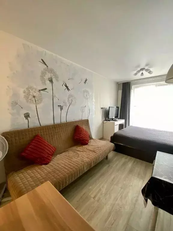 Студия Санкт-Петербург ул. Салова, 61 (24.0 м) - Фото 1