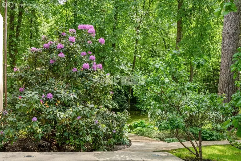 Дом в деревня Жуковка, КП Жуковка-3 (520 м) - Фото 1