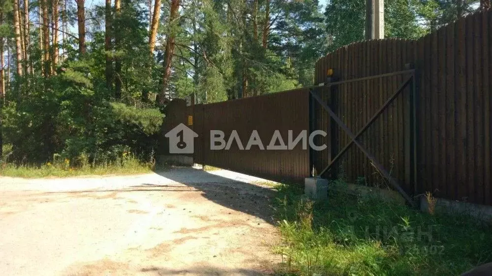 Участок в Владимирская область, Судогодский район, с. Спас-Купалище ... - Фото 2