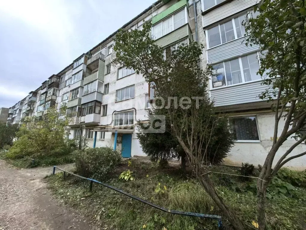 1-к кв. Владимирская область, Александров ул. Юбилейная, 16 (29.0 м) - Фото 1