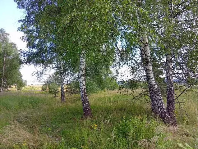 Участок 6 сот. (ИЖС) - Фото 0