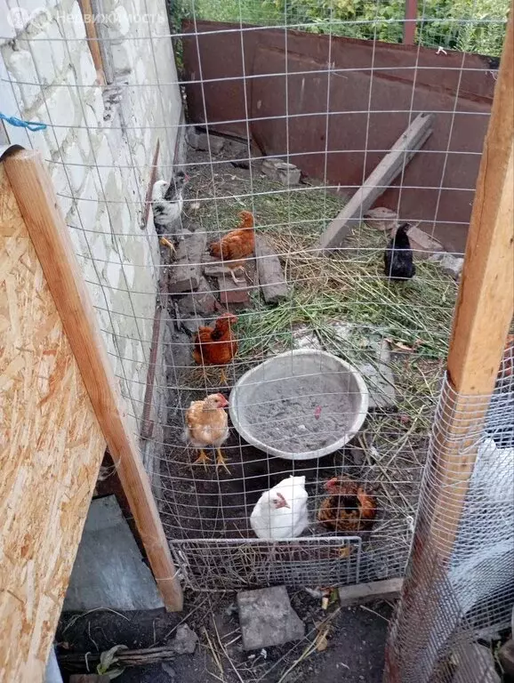 Дом в Саратов, Лучевая улица (36 м) - Фото 1