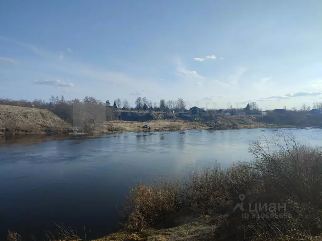 Участок в Новгородская область, Солецкий муниципальный округ, д. ... - Фото 1